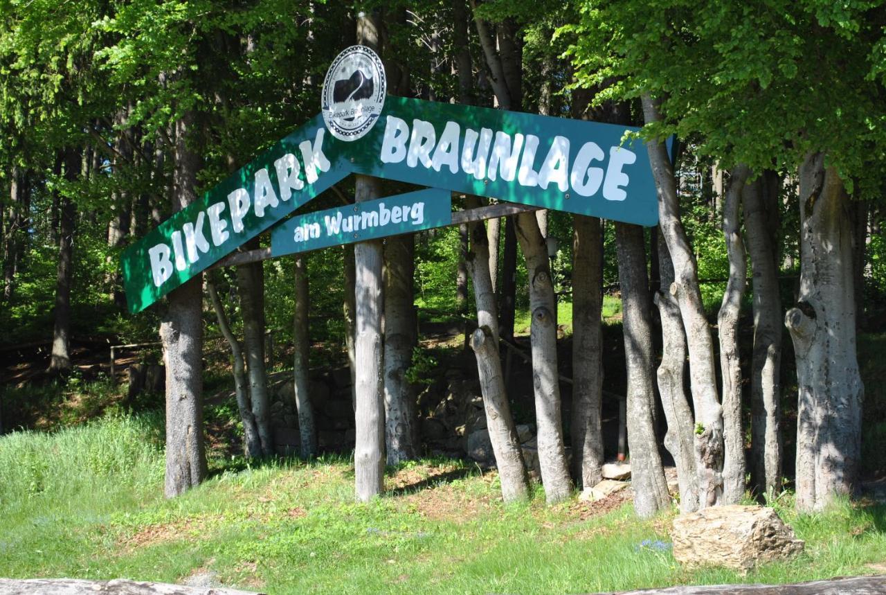 Apartamento Harz-Rose Braunlage Exterior foto