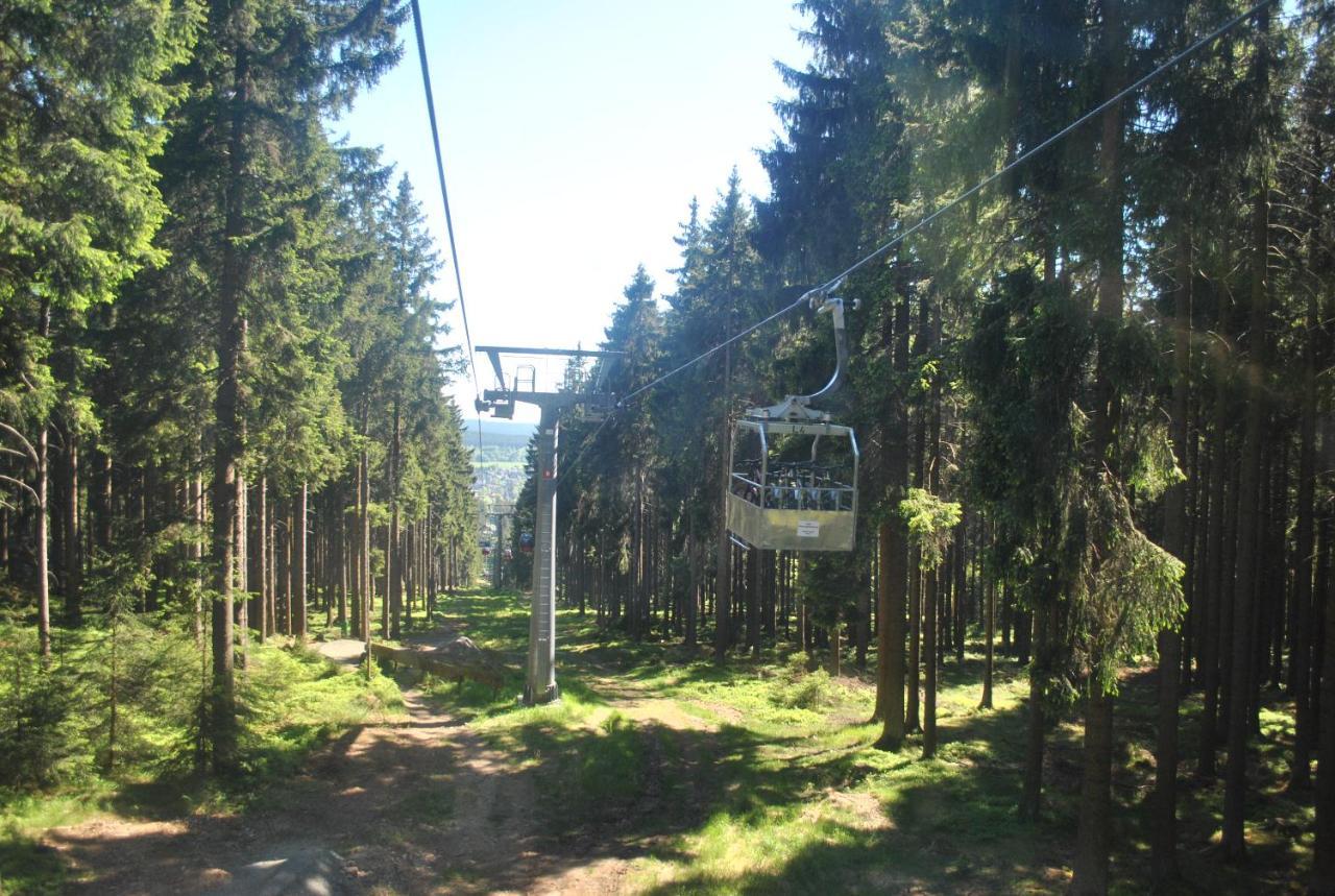 Apartamento Harz-Rose Braunlage Exterior foto