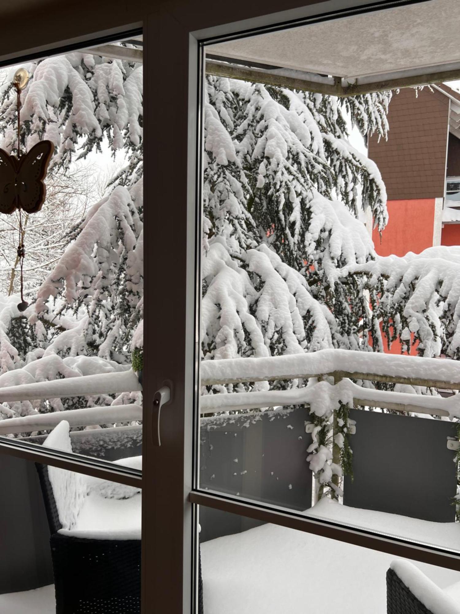 Apartamento Harz-Rose Braunlage Exterior foto